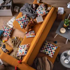 Kanapa w kolorze musztardowym, na niej piesek i poduszki. Jaki kolor pasuje do pomarańczowego? Zobacz, jak świetnie komponują się z nią wielokolorowe wzory!